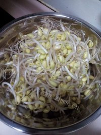 好吃的炒黄豆芽做法图解2)