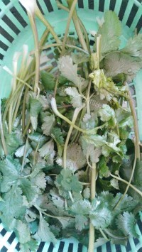 好吃的麻辣猪血做法图解2)