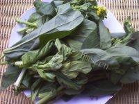 色味俱佳的蒜香菜心做法图解1)