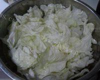 白菜炖豆腐（家庭版）做法图解1)