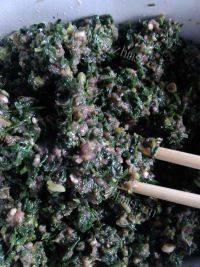 自己做的荠菜饺子做法图解1)