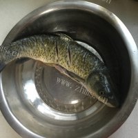 美味的麻辣烤鱼做法图解1)