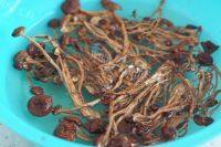 家常菜茶树菇烧五花肉做法图解1)