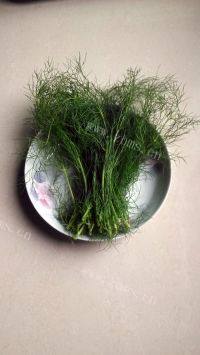 爱上小茴香煎饼做法图解1)
