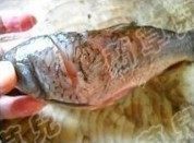 开胃豆瓣鲤鱼做法图解2)