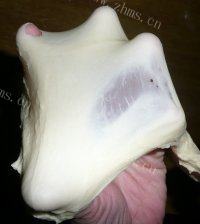口感好的椰蓉面包做法图解7)