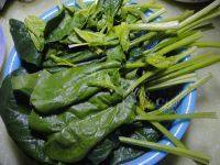 诱人的蒜泥菠菜做法图解2)
