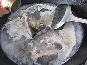 美味的鱼头鱼尾豆腐汤做法图解3)