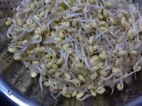 诱人的清炒豆芽做法图解2)