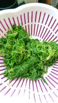 自己做的荠菜水饺做法图解2)