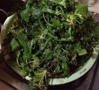 简易地菜春卷做法图解1)