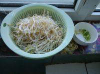 食盐清炒豆芽做法图解1)