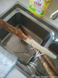 营养的山药羊肉汤做法图解1)