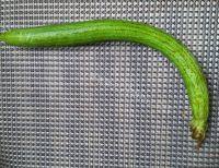 「手工美食」苏式丝瓜毛豆做法图解1)