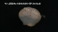 美味的香蕉松饼做法图解3)