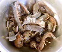 美味的清蒸虾爬子做法图解1)