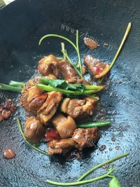 好吃不腻的红焖羊肉做法图解9)
