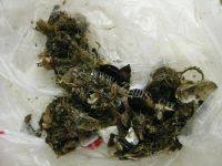 清蒸海虹做法图解2)