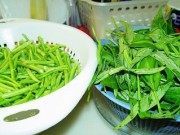 特色美食椒丝腐乳通菜做法图解1)