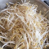 家常菜豆芽炒肉做法图解1)