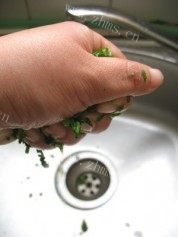 荠菜鲜肉馄饨做法图解6)