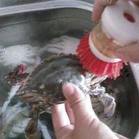 美味的清蒸梭子蟹的做法图解一
