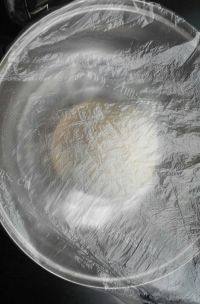 自己做的发面葱油饼做法图解4)