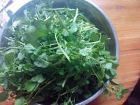 家常菜蒜香西洋菜做法图解2)