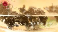 美味的荷塘月色做法图解1)
