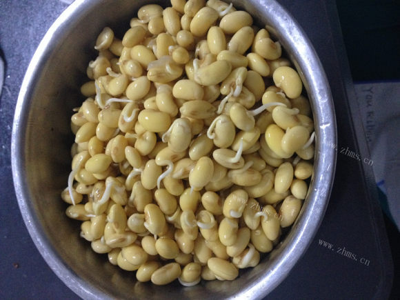 开胃的自发豆芽