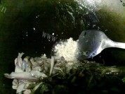 红烧肉茄子做法图解7)