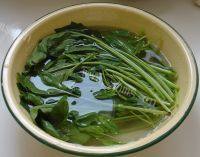 简单的菠菜拌粉丝做法图解2)