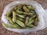 美味韭菜炒蚕豆做法图解1)