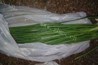 好吃的牛肉炒韭菜做法图解2)