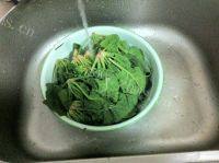 味道不错的菠菜炒鸡蛋做法图解1)