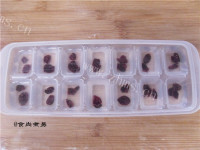 美味蔓越莓冰鸡尾酒做法图解3)