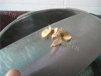 滋补的冬瓜薏米猪骨汤做法图解5)