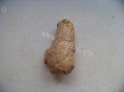 美味的玉米萝卜大骨汤做法图解3)