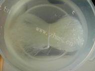 家常菜酸菜炒粉丝做法图解3)