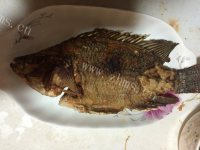 美味佳肴般的红烧鱼做法图解3)