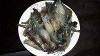 自制茄汁大虾做法图解3)