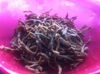 好吃的干豆角烧肉做法图解2)