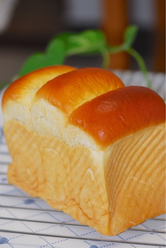 特色美食北海道吐司