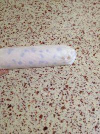 食欲满满的蔓越莓蛋糕卷做法图解16)