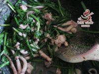 家庭版韭菜炒鱿鱼做法图解9)