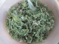 自己做的蒸野菜做法图解1)