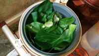 美味的菜肉馄饨做法图解1)