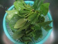 迷人的蒜蓉菠菜做法图解1)