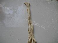自己做的椒盐饼做法图解4)