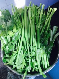 简易的芹菜馅饺子做法图解1)